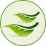 biocbio