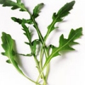 Roquette , Rucola