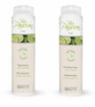 Gel douche bio thé vert