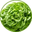 biocbio